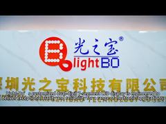 صفحه نمایش LED دو رقمی سفارشی